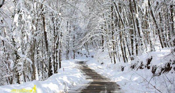  عکس دریا شمال در زمستان