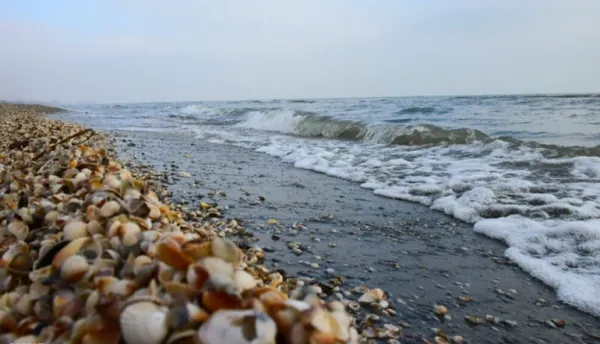  عکس ساحل شمال ایران