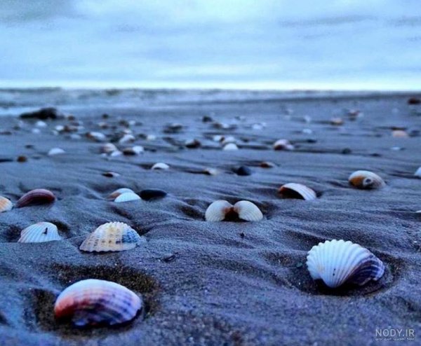  عکس دریای خزر