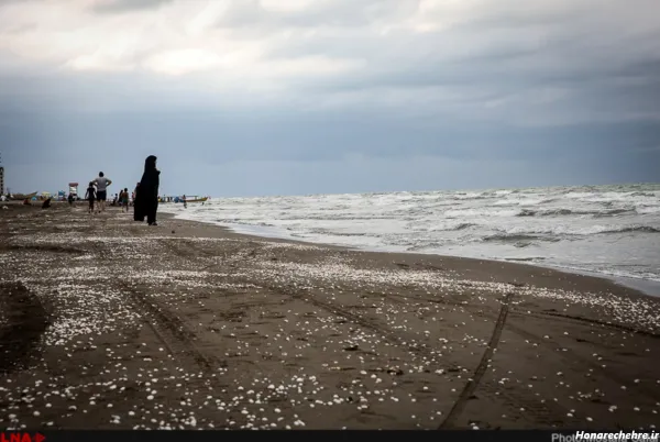 عکس دریای شمال واقعی