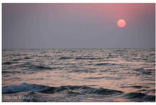  عکس دریای خزر واقعی