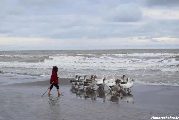  عکس دریای خزر واقعی