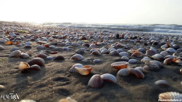 عکس دریای شمال واقعی