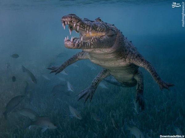  عکس عمق دریای خزر