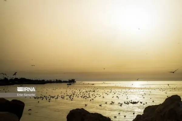  عکس دریای خلیج فارس