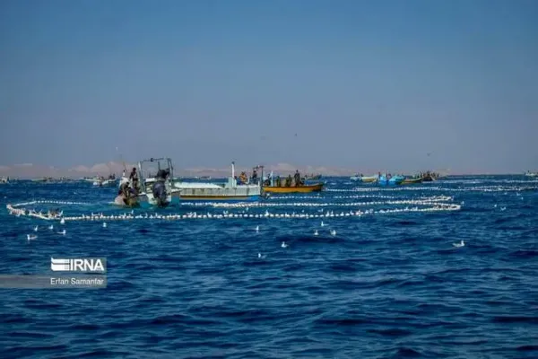  عکس دریای خلیج فارس