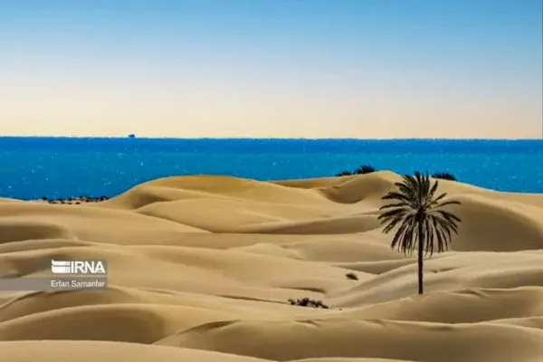  عکس دریای خلیج فارس