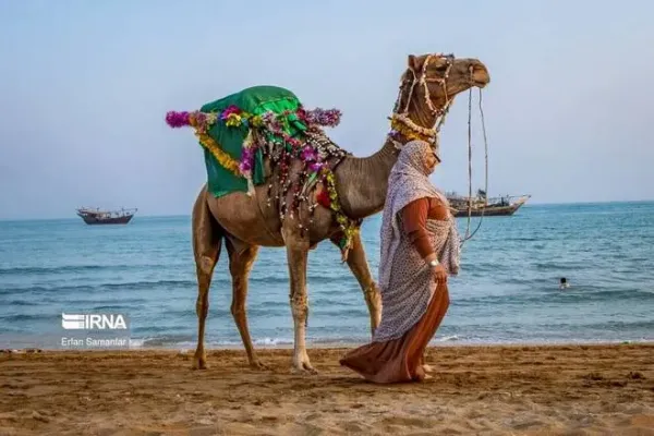  عکس دریای خلیج فارس