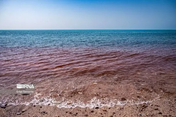  عکس دریای خلیج فارس