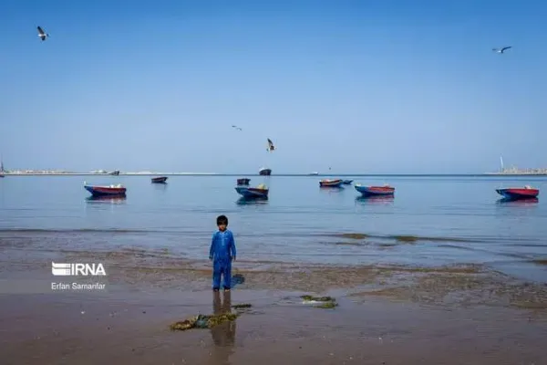  عکس دریای خلیج فارس