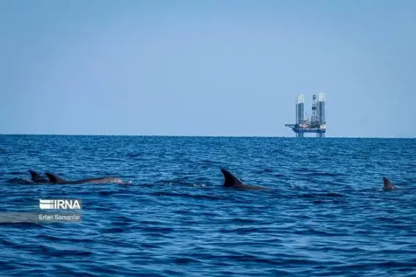  عکس دریای خلیج فارس