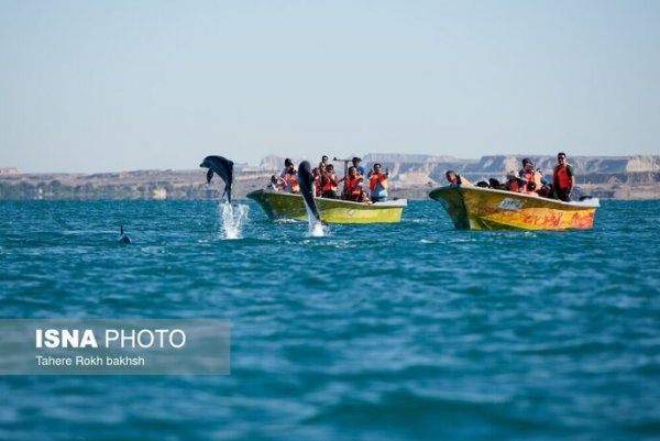  عکس خلیج فارس واقعی