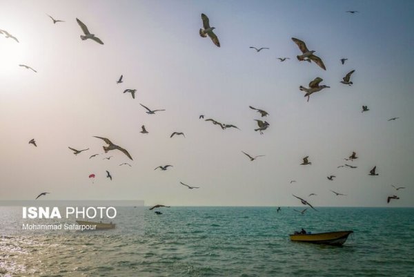  عکس خلیج فارس واقعی