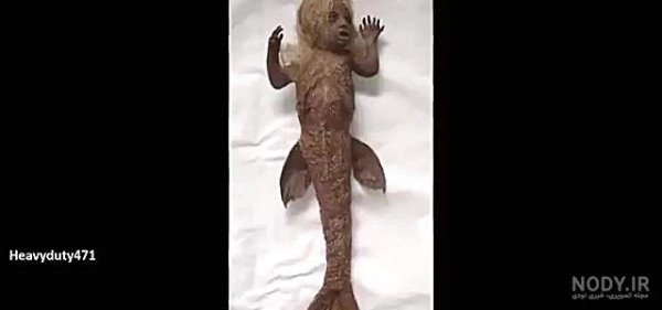 عکس دریای خلیج فارس از بالا