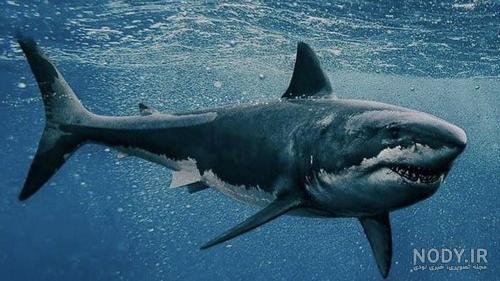  عکس دریای خلیج فارس از بالا