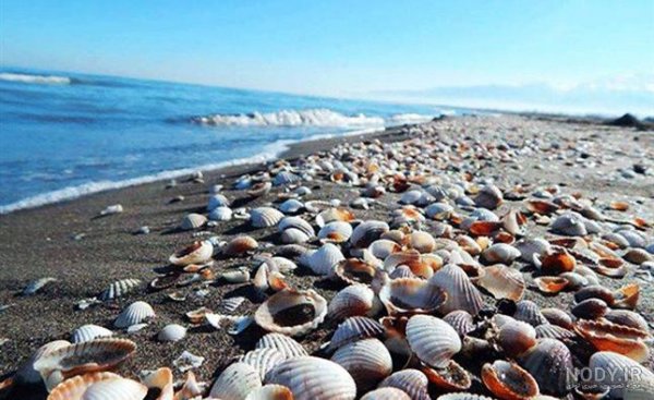  عکس دریای خلیج فارس از بالا