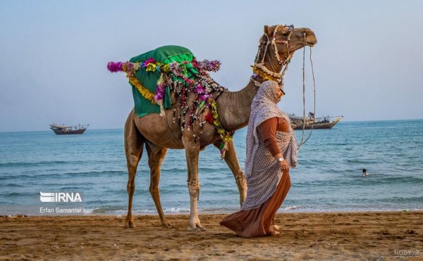  عکس دریای خلیج فارس از بالا