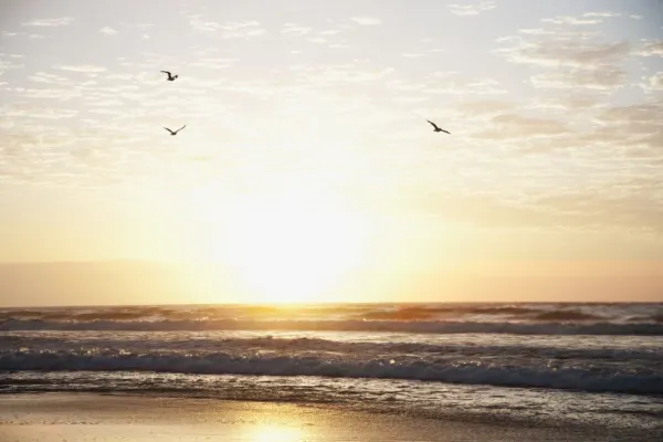  عکس ساحل واقعی