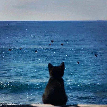  عکس دریا در صبح