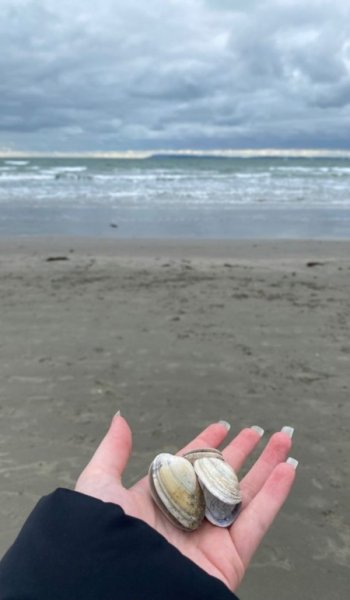  عکس دریا در صبح