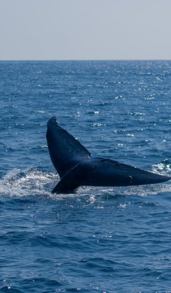  عکس دریا در صبح