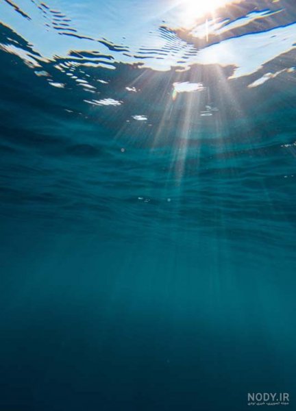 عکس داخل دریا واقعی