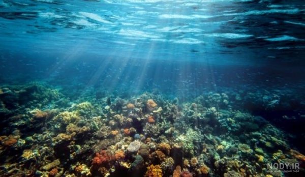  عکس داخل دریا واقعی