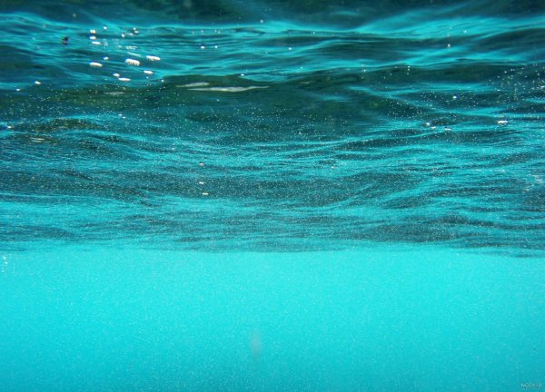  عکس داخل دریا واقعی