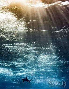  عکس داخل دریا واقعی