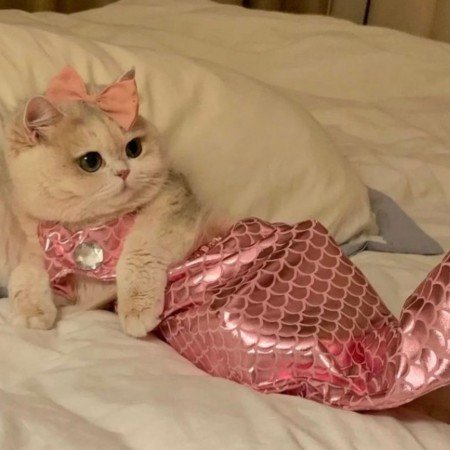  عکس موج دریا واقعی