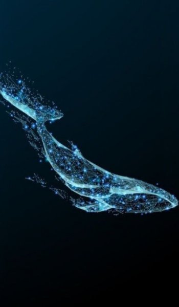  عکس موج دریا واقعی