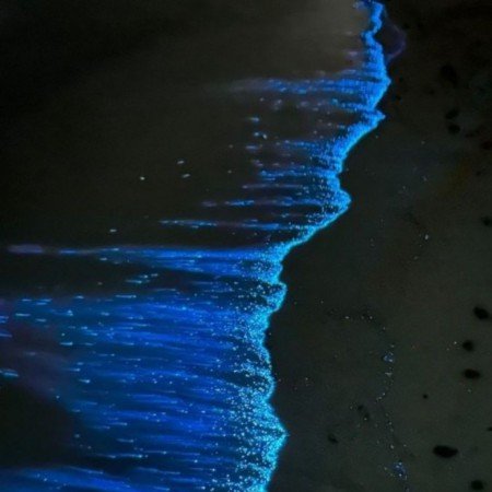  عکس موج دریا واقعی