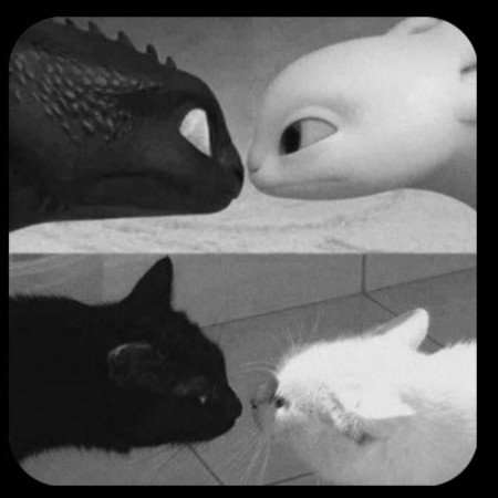  عکس موج دریا واقعی