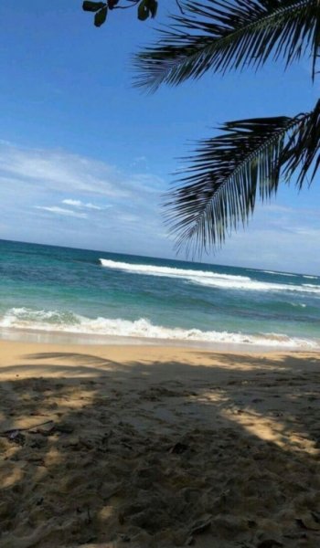  عکس موج دریا واقعی