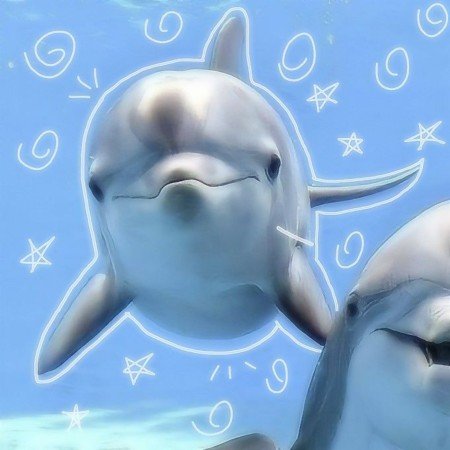  عکس موج دریا واقعی