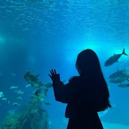  عکس موج دریا واقعی