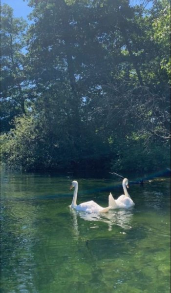  عکس موج دریا واقعی