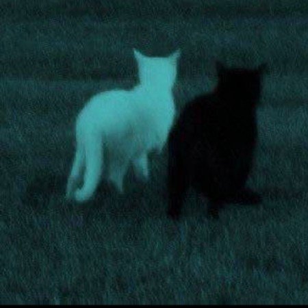  100 عکس دریا عاشقانه