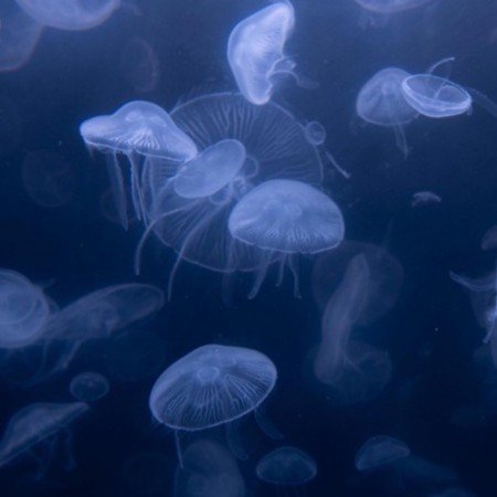  عکس دریا شمال در روز