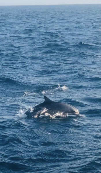  عکس دریا شمال در روز