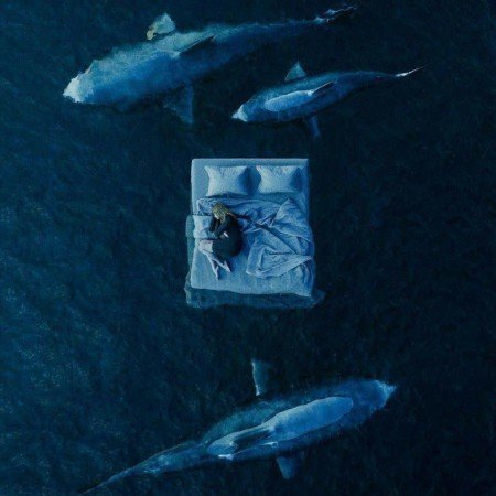  عکس دریا شمال در روز