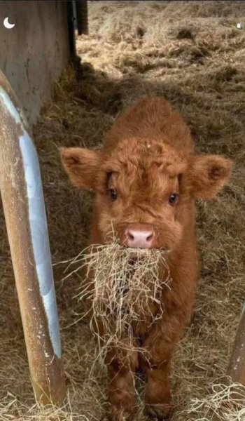  241 عکس پس زمینه شیک و خاص