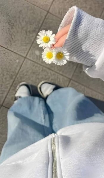  241 عکس پس زمینه شیک و خاص