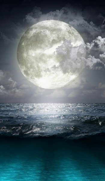  325 عکس پس زمینه شیک و باکلاس سه بعدی