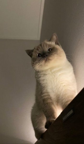  325 عکس پس زمینه شیک و باکلاس سه بعدی