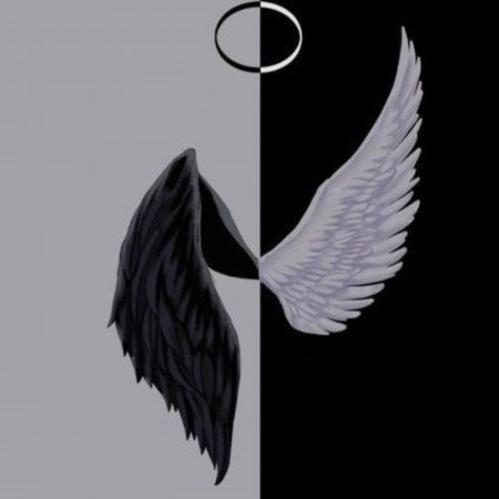  325 عکس پس زمینه شیک و باکلاس سه بعدی