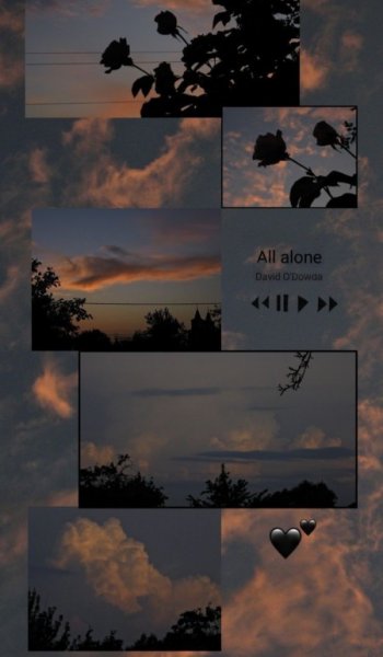 524 عکس پس زمینه ساده و زیبا