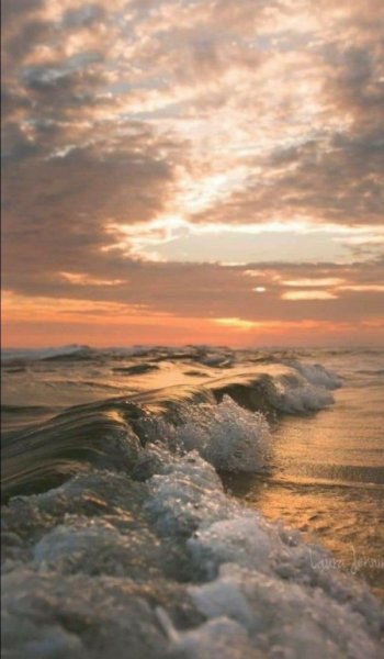  524 عکس پس زمینه ساده و زیبا