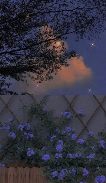  524 عکس پس زمینه ساده و زیبا