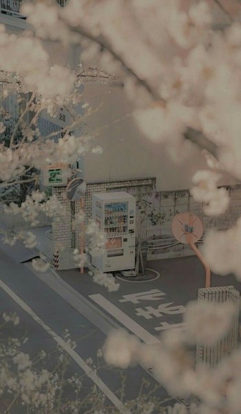  524 عکس پس زمینه ساده و زیبا